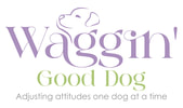Waggin' Good Dog- Adjusting attitudes one dog at a time